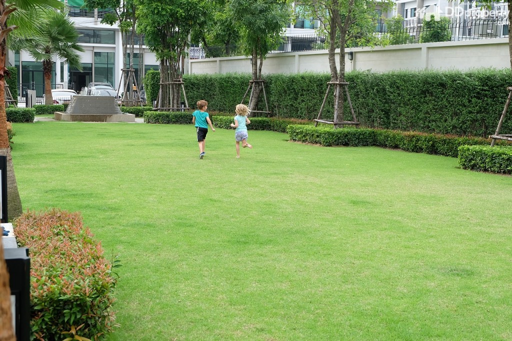 3 Workplace DDpropertyDSCF0277-082