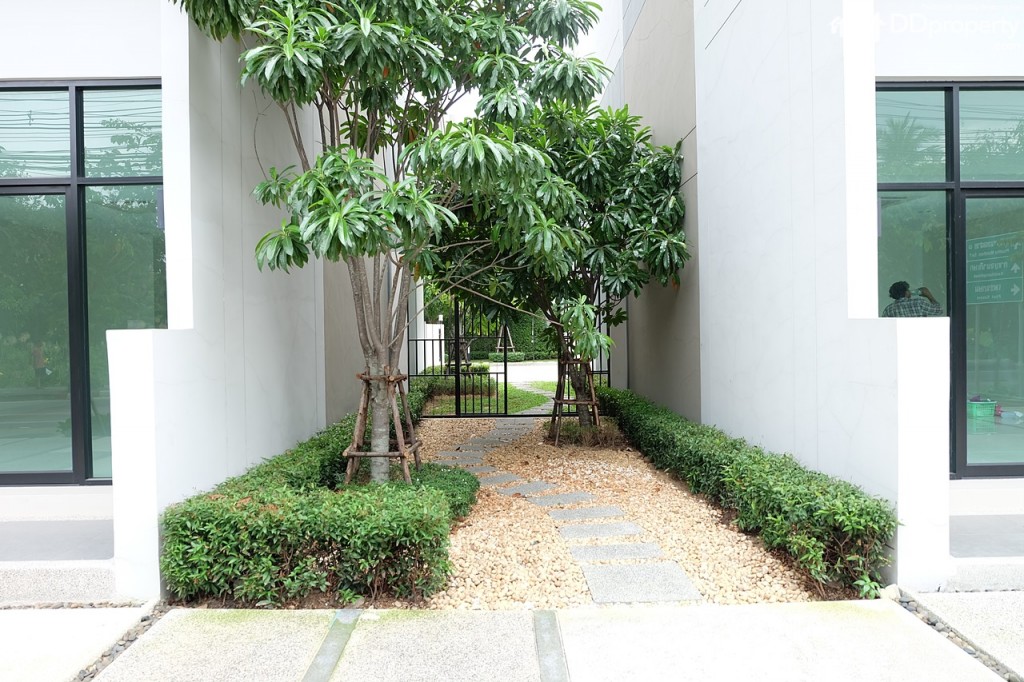 6 Workplace DDpropertyDSCF0169-017