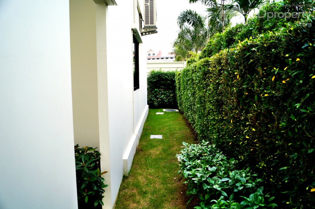 พื้นที่ว่างด้านข้างของตัวบ้าน