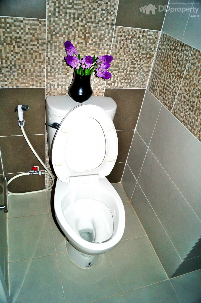 สุขภัณฑ์ให้ของ American Standard