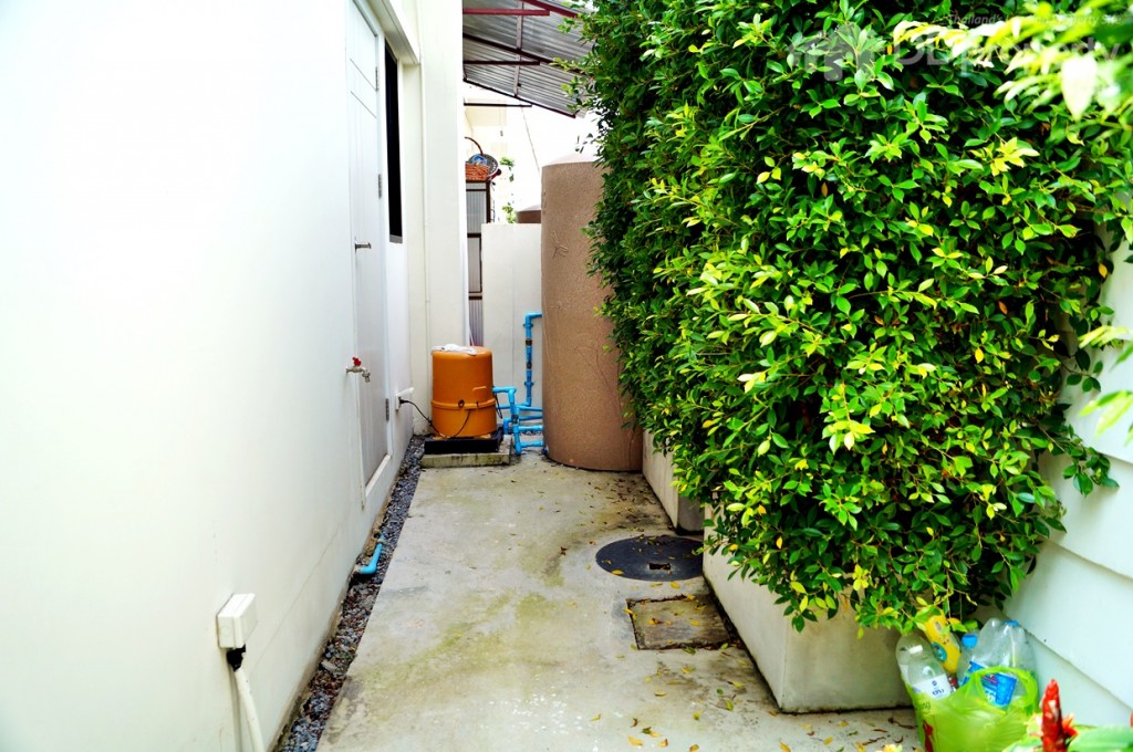 พื้นที่ด้านหลังเป็นพื้นคอนกรีต