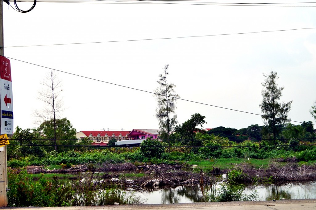 ด้านตรงข้ามทางเข้าโครงการ