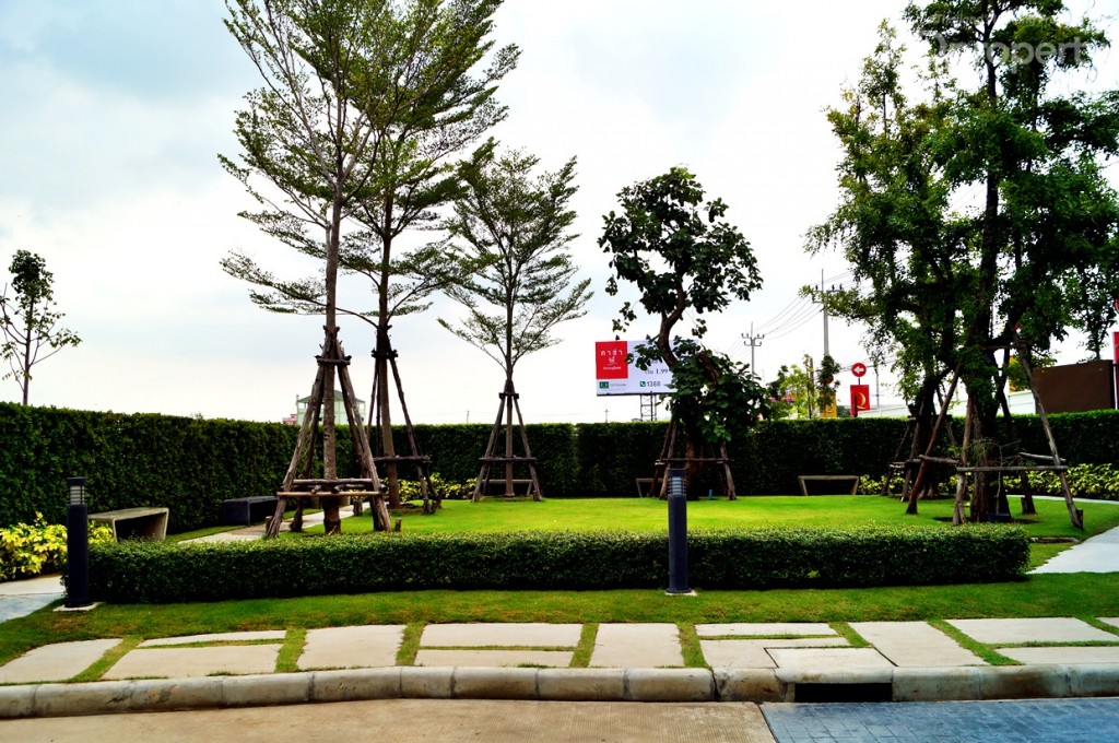 พื้นที่สวนด้านขวา