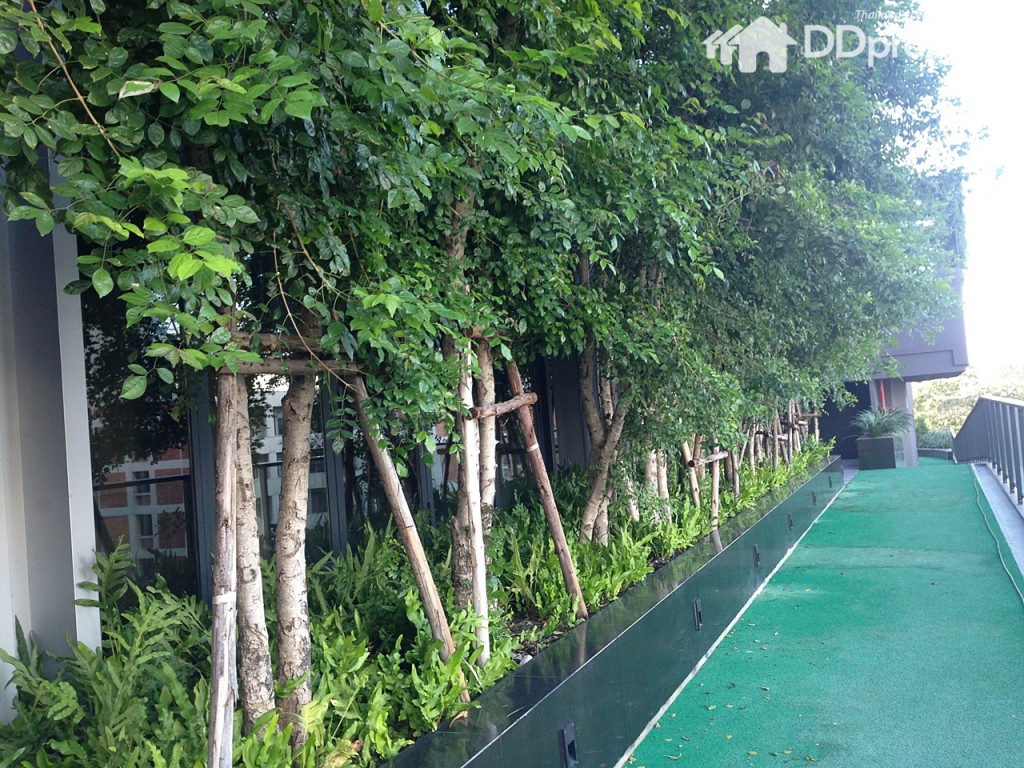 A jogging track rounding 5th floor; you can get physically revved up every morning at this track provided for your cardio exercise.