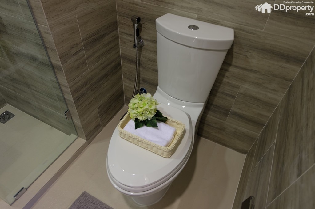 Maestro 03 1 BedroomDSCF0400-021