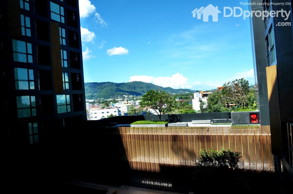 The Base HeightDSC02722-20151124