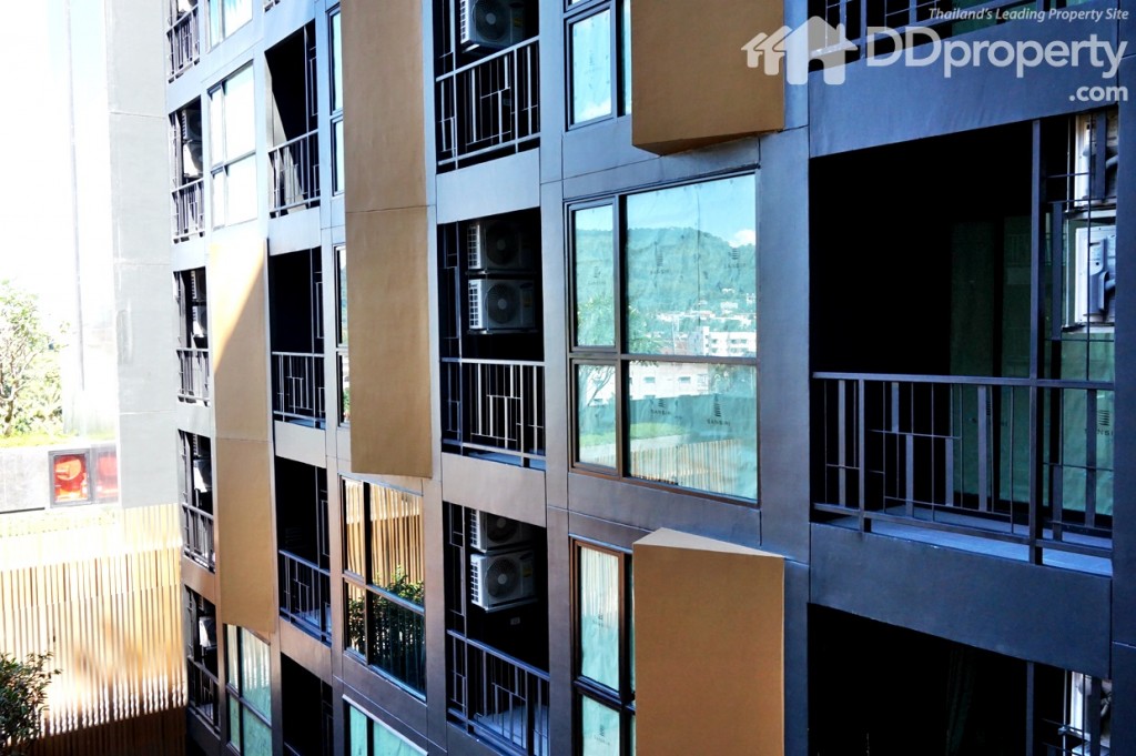 มุมมองด้านขวา