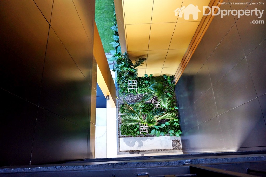 The Base HeightDSC02757-20151124