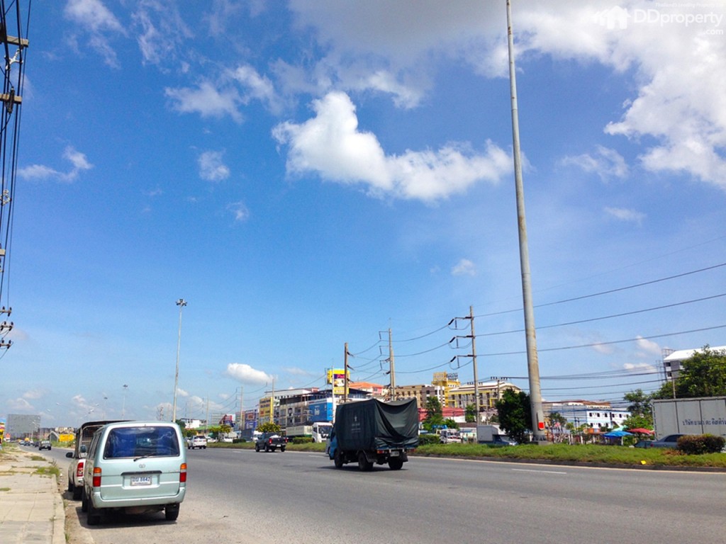 The Trush_Amatio Project102-002