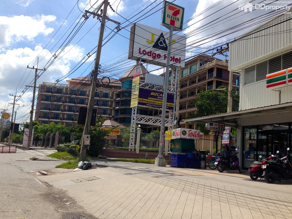 The Trush_Amatio Project103-003