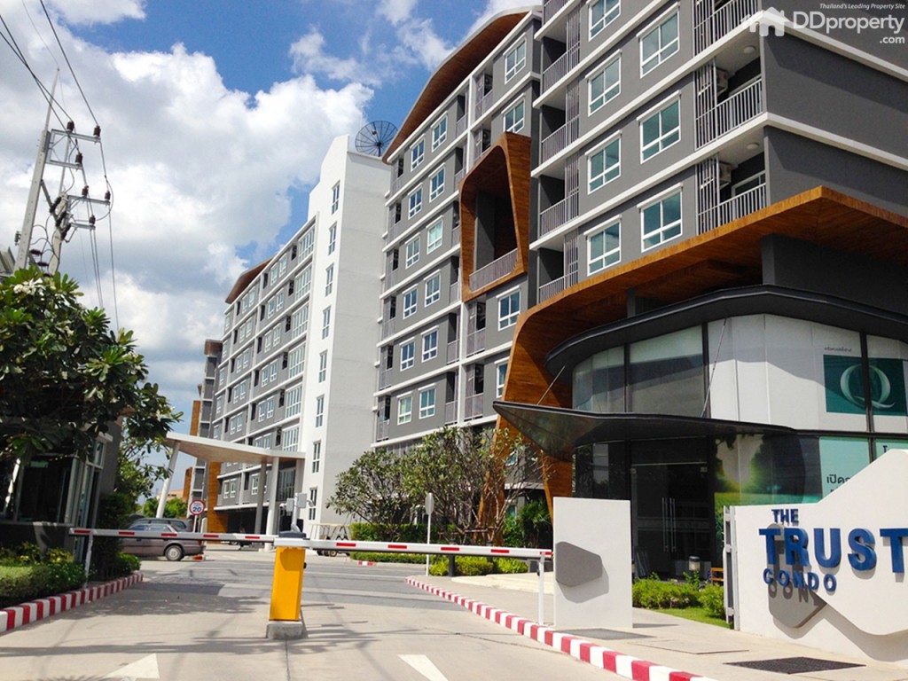 The Trush_Amatio Project106-006