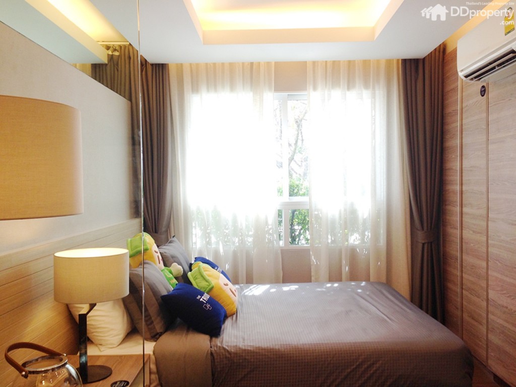 The Trush_Amatio Project113-013