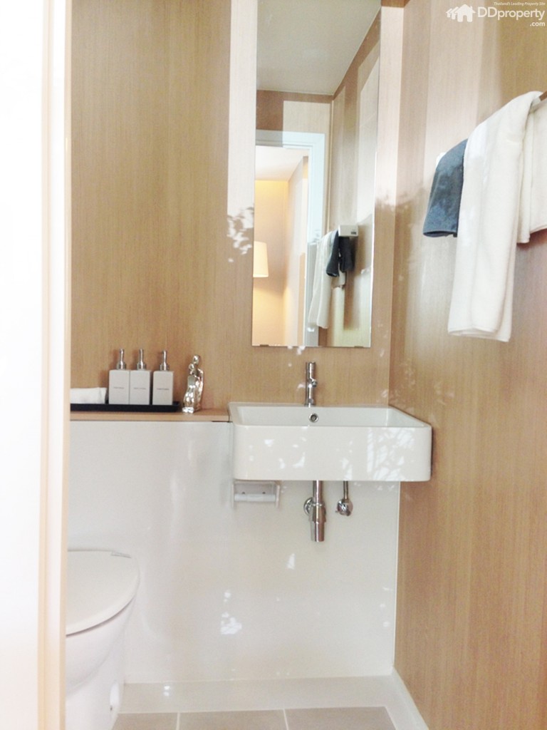 The Trush_Amatio Project120-020