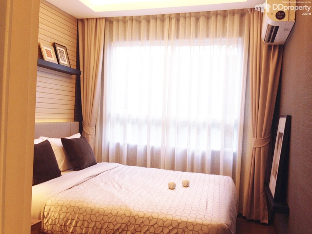 The Trush_Amatio Project126-026