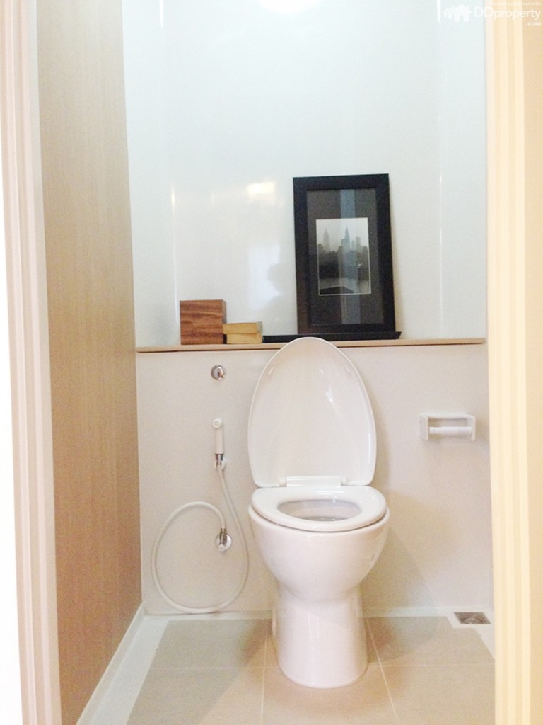 The Trush_Amatio Project128-028