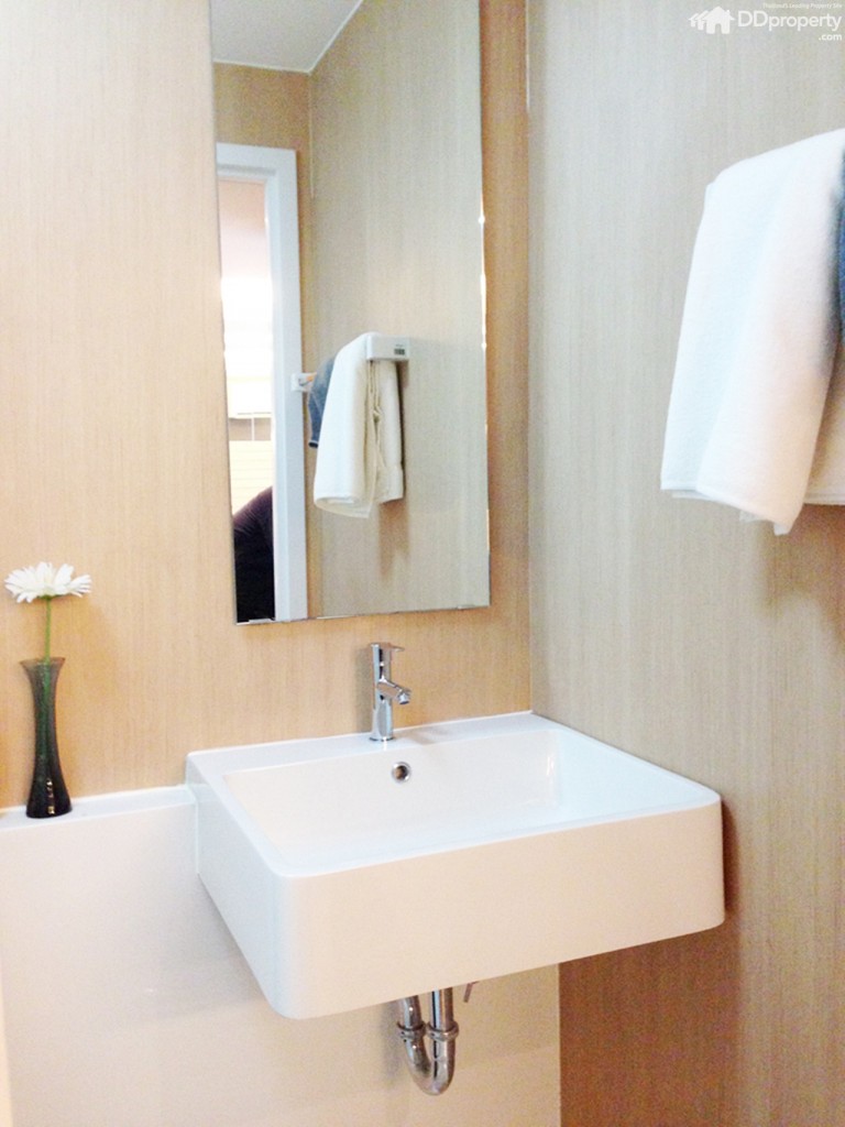 The Trush_Amatio Project131-031