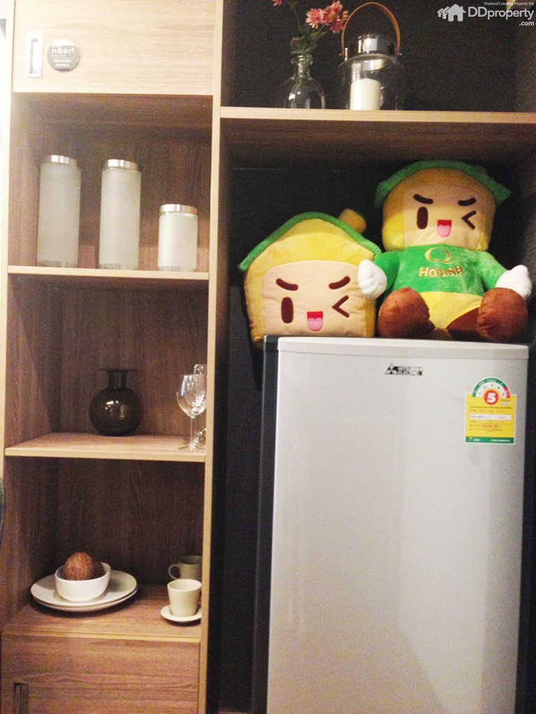 The Trush_Amatio Project137-037