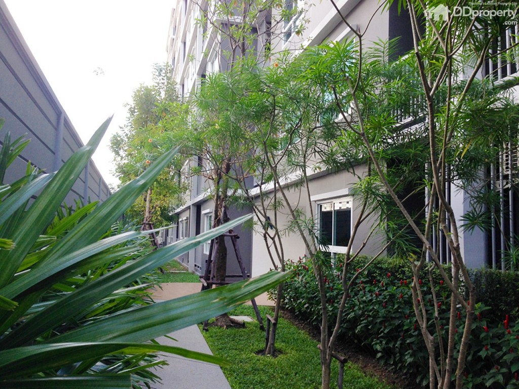 The Trush_Amatio Project138-038