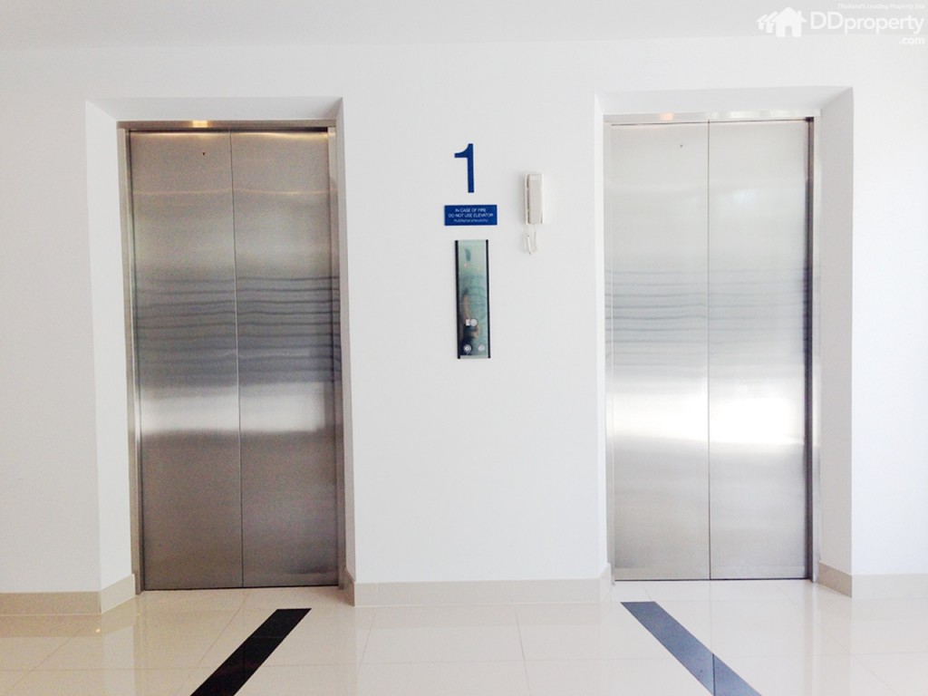 The Trush_Amatio Project140-040