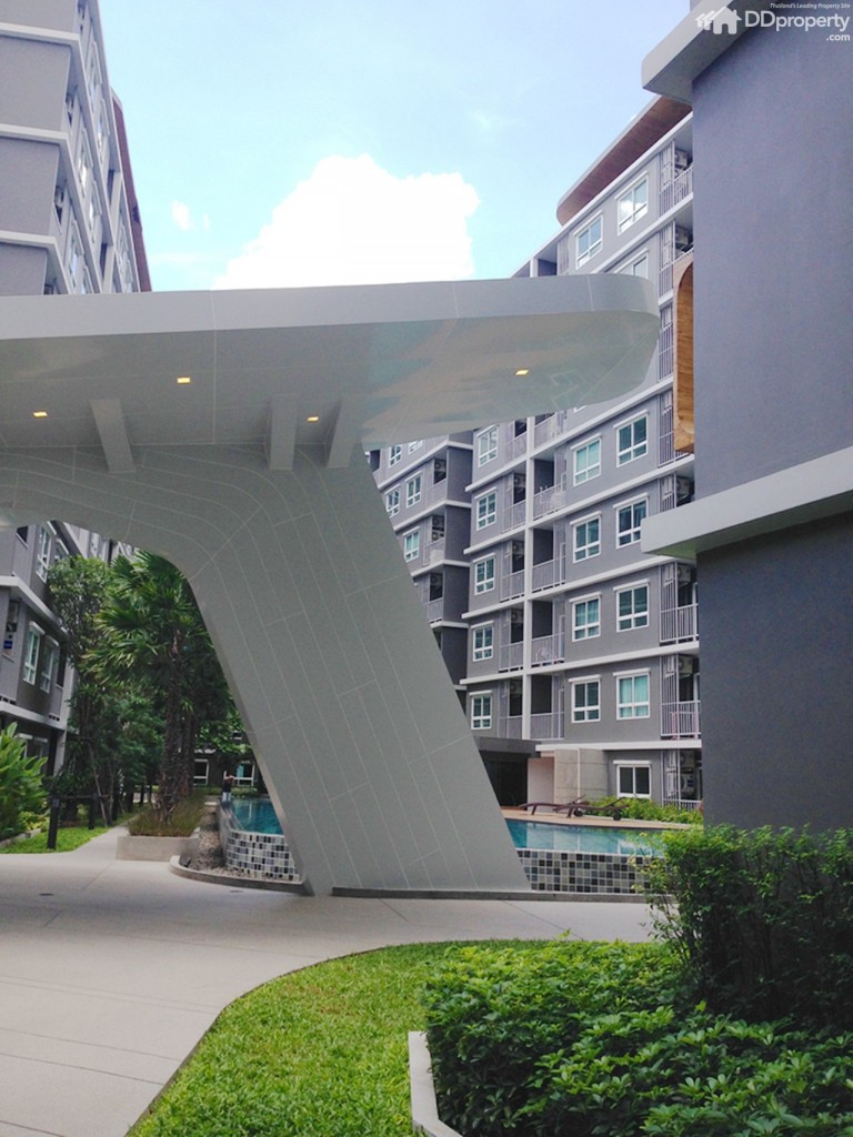 The Trush_Amatio Project142-042