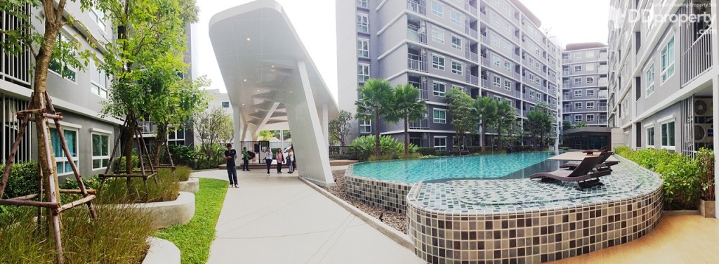 The Trush_Amatio Project143-043