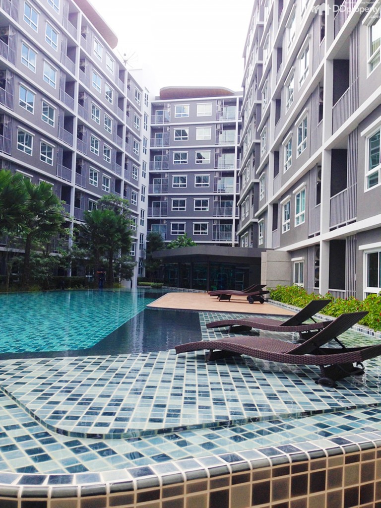 The Trush_Amatio Project144-044