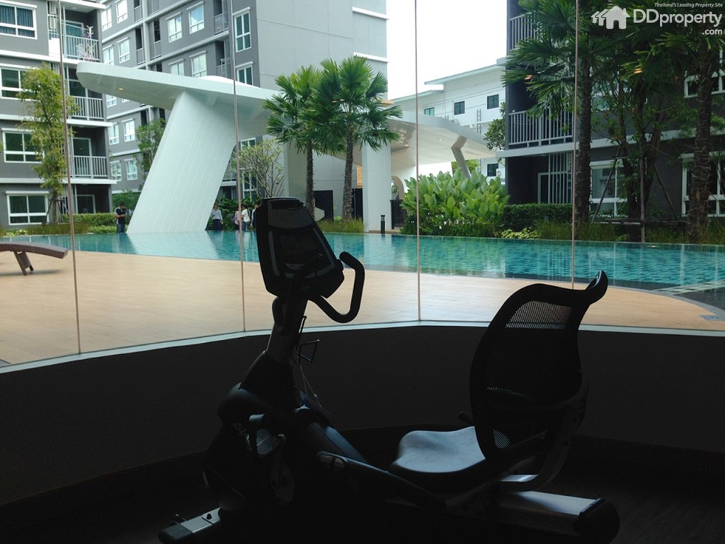 The Trush_Amatio Project151-051