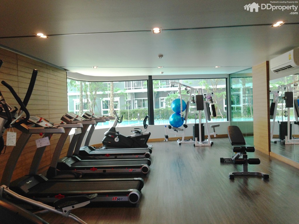 The Trush_Amatio Project152-052