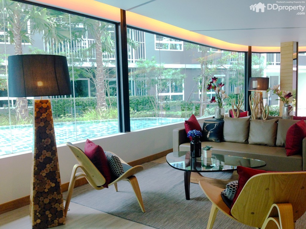 The Trush_Amatio Project153-053