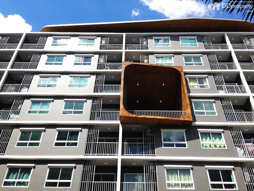 The Trush_Amatio Project154-054