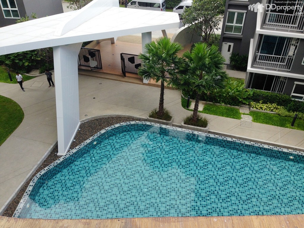 The Trush_Amatio Project158-058