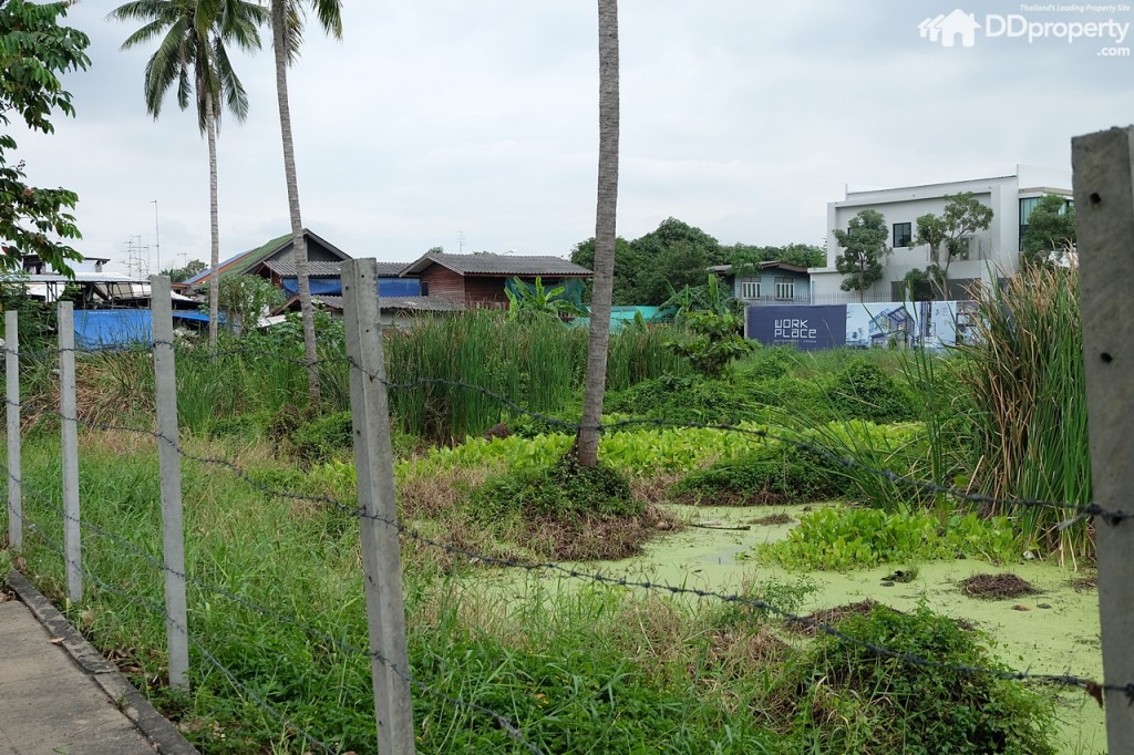 Workplace DDpropertyDSCF0154-008