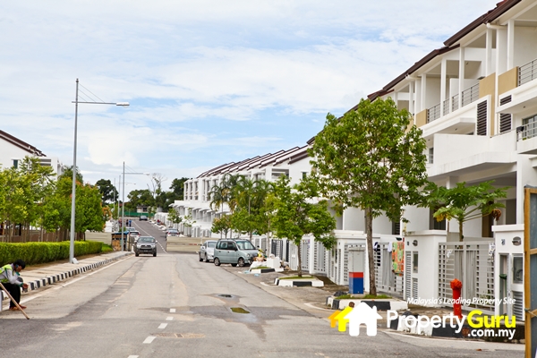 cassia-phase 1