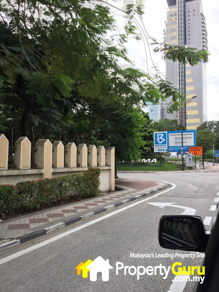 expressionzIMG_1238ex4