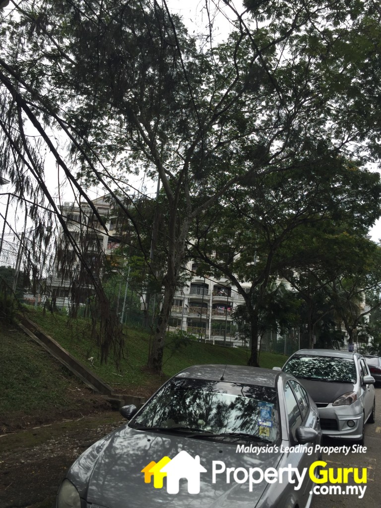 irama wangsa 13IMG_1055