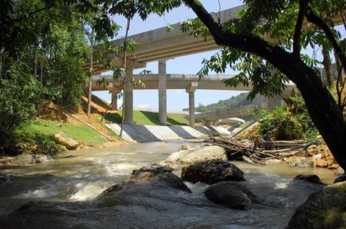 The LATAR Expressway as seen from the Templer’s Park (Image source : Paul Tan)