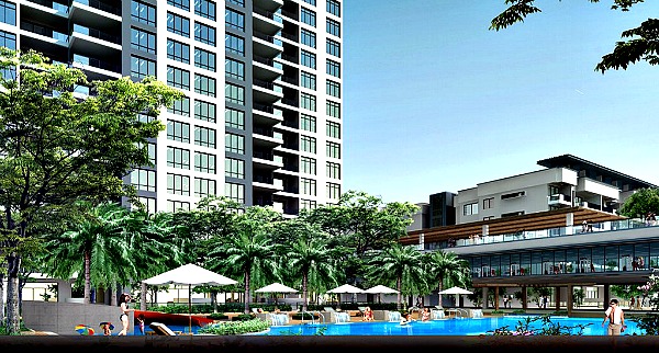 Molek Pulai 002 Starting Picture