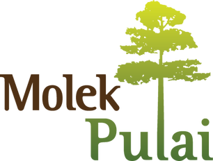 Molek Pulai 031 LOGO