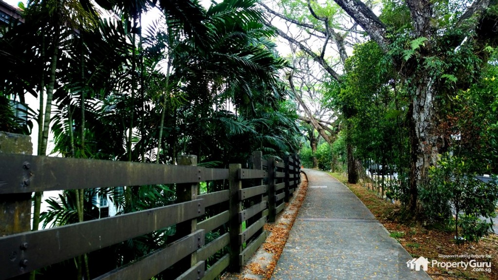Shrouded pathway along Dairy Farm Estate toward The Skywoods