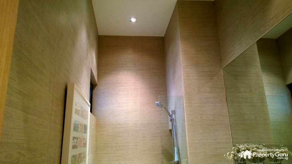 Common bathroom with high ceiling but no rain shower