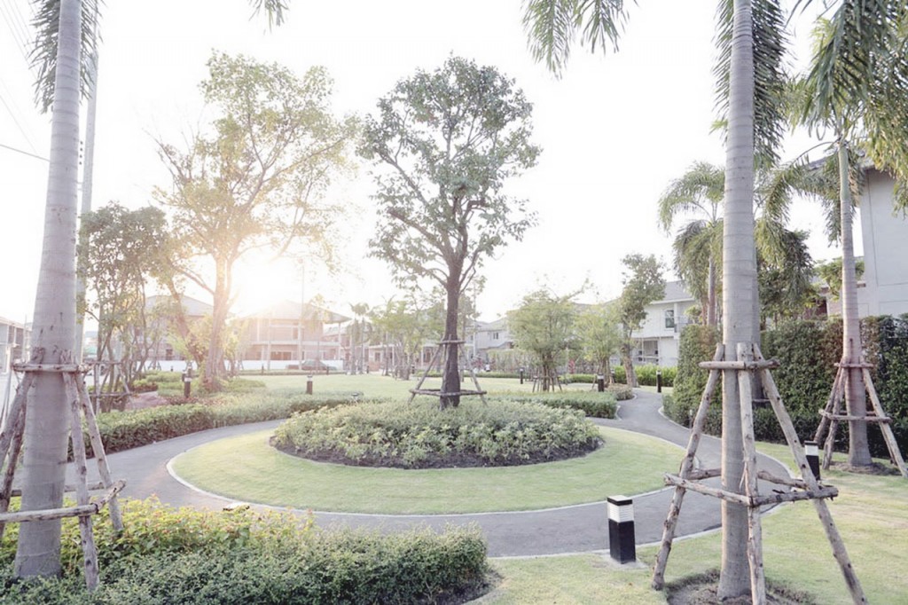 12 The Balanz_Per9d95537097c19fa6e33af1ed580b781c-002