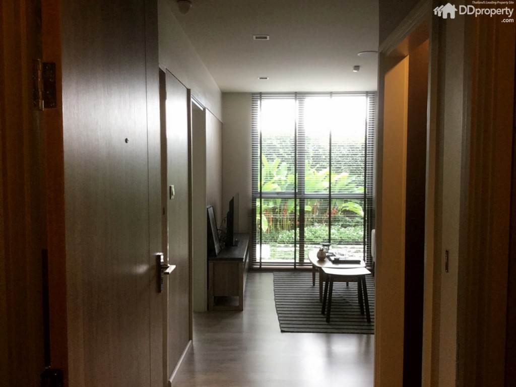 Chambers Chaan LadpraoChabers_TypePlus (2)