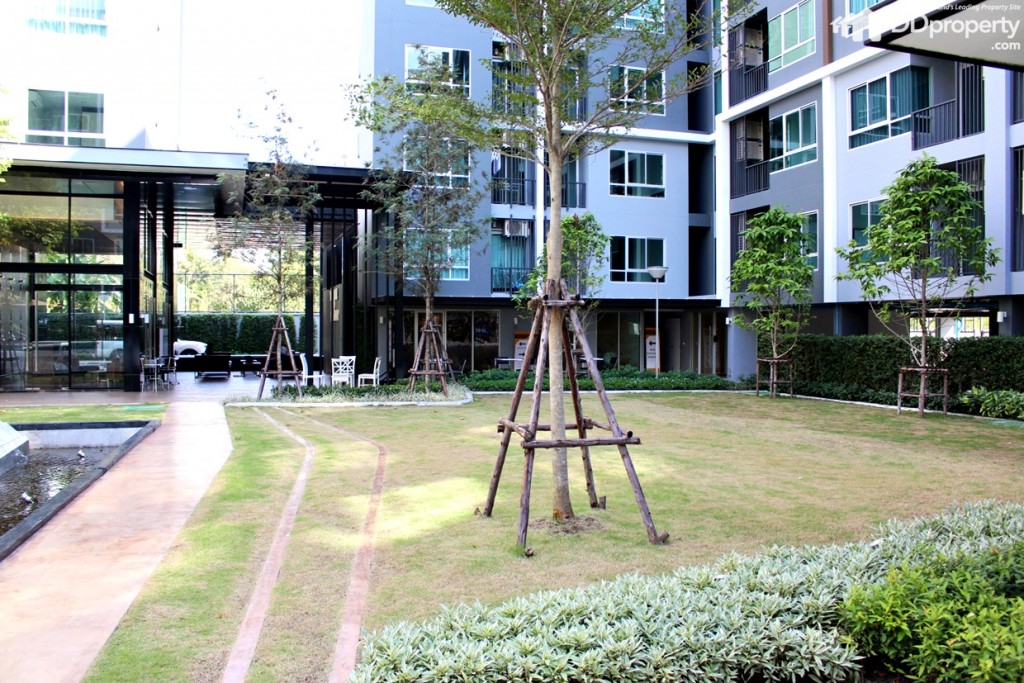 พื้นที่สวนหย่อม