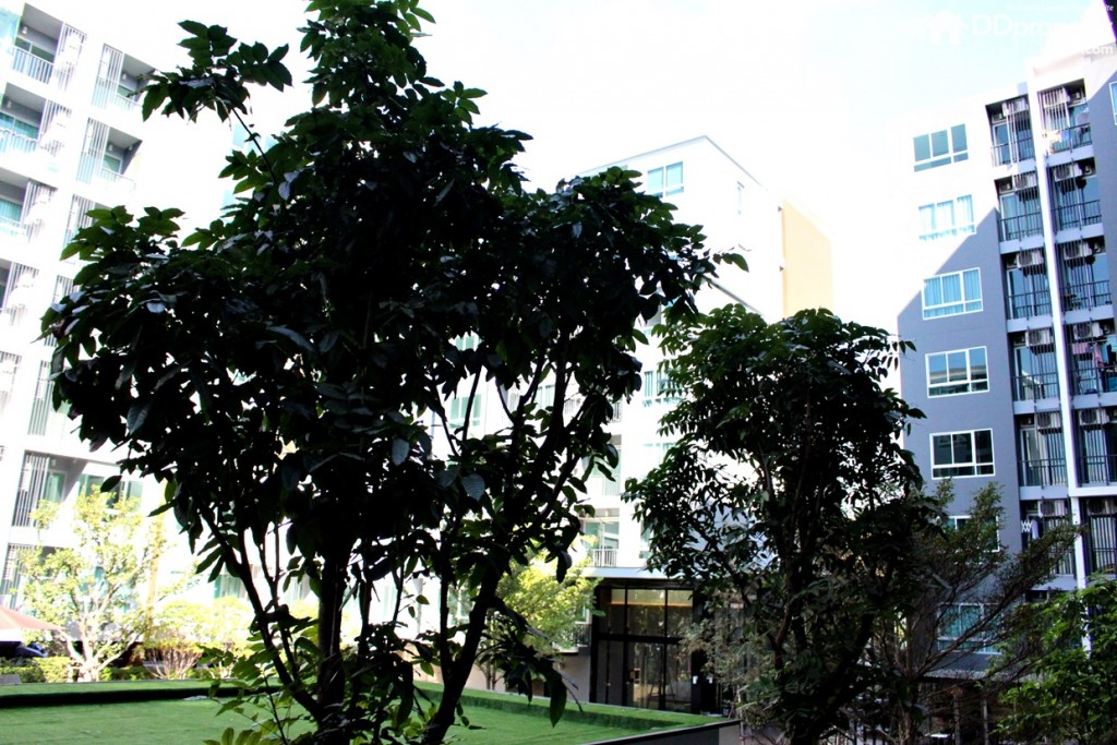 วิวจากห้องตัวอย่าง