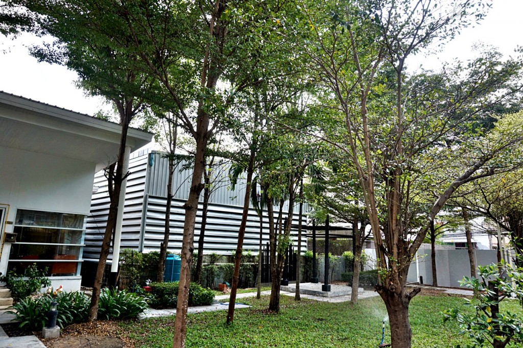 พื้นที่ตรงนี้จะถูกเปลี่ยนเป็นสวนหย่อมในอนาคต