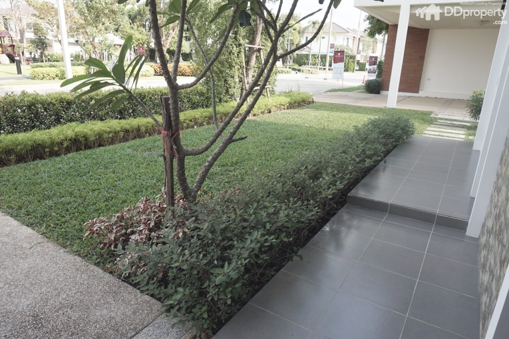 The Balanz_ArveDSC04325-002