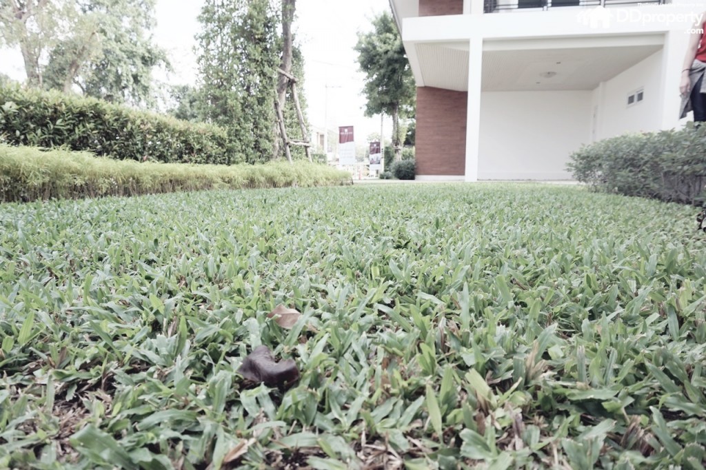 The Balanz_Danube ExThe Balanz_ExteriorDSC04370-011-019