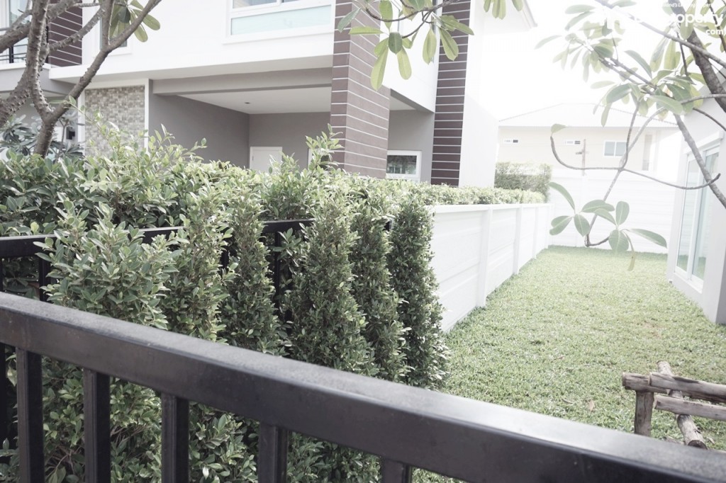 The Balanz_Danube ExThe Balanz_ExteriorDSC04372-013-021