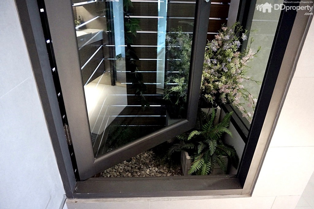 The Master_Interior68The Master PicDSC03408-217-075