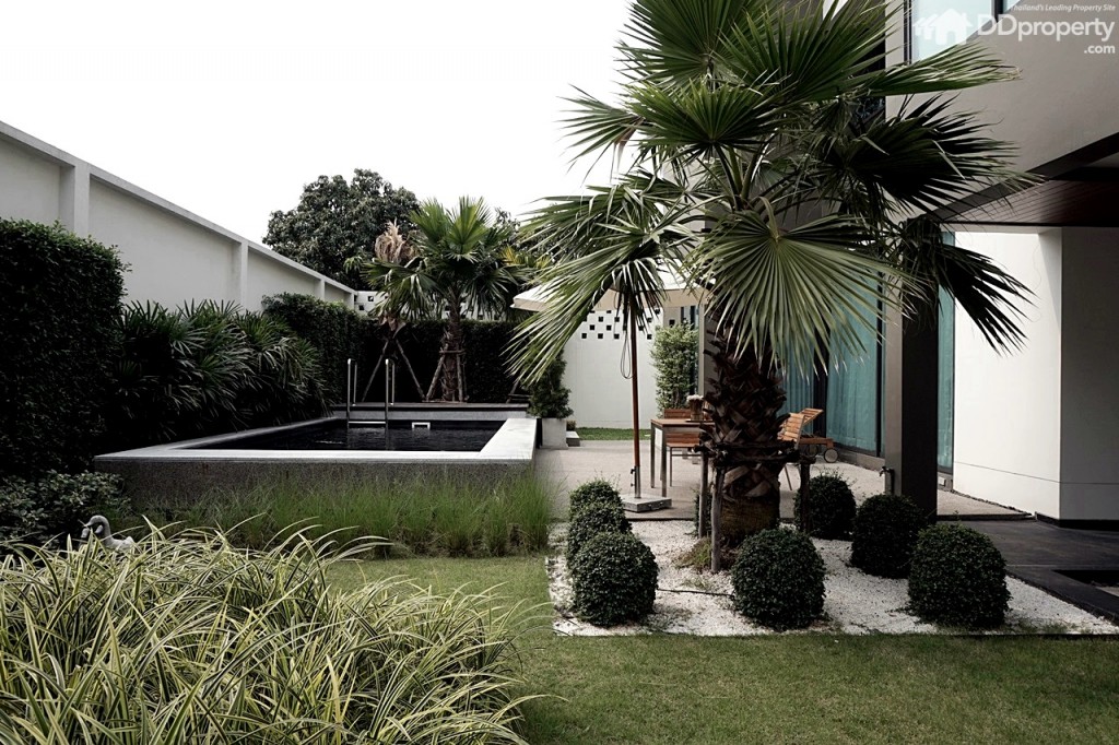 The Master_Interior7 The Master PicDSC03261-071-009